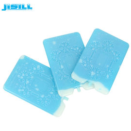 Custom Hard Plastic Gel Ice Eutectic Cold Plates Cooler Ice Bricks For Transport